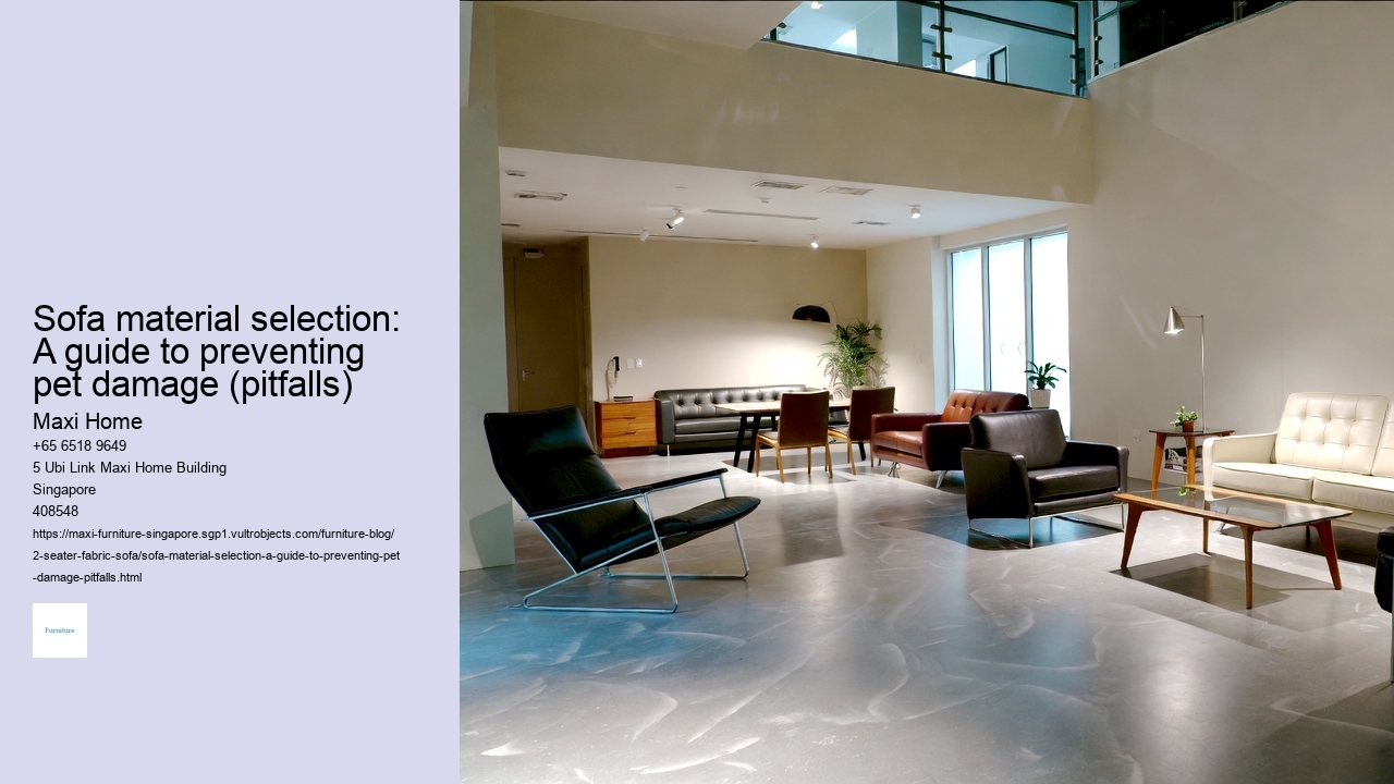 Sofa material selection: A guide to preventing pet damage (pitfalls)