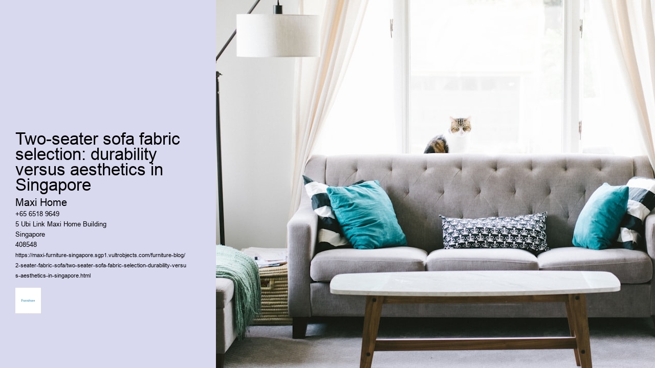 Two-seater sofa fabric selection: durability versus aesthetics in Singapore