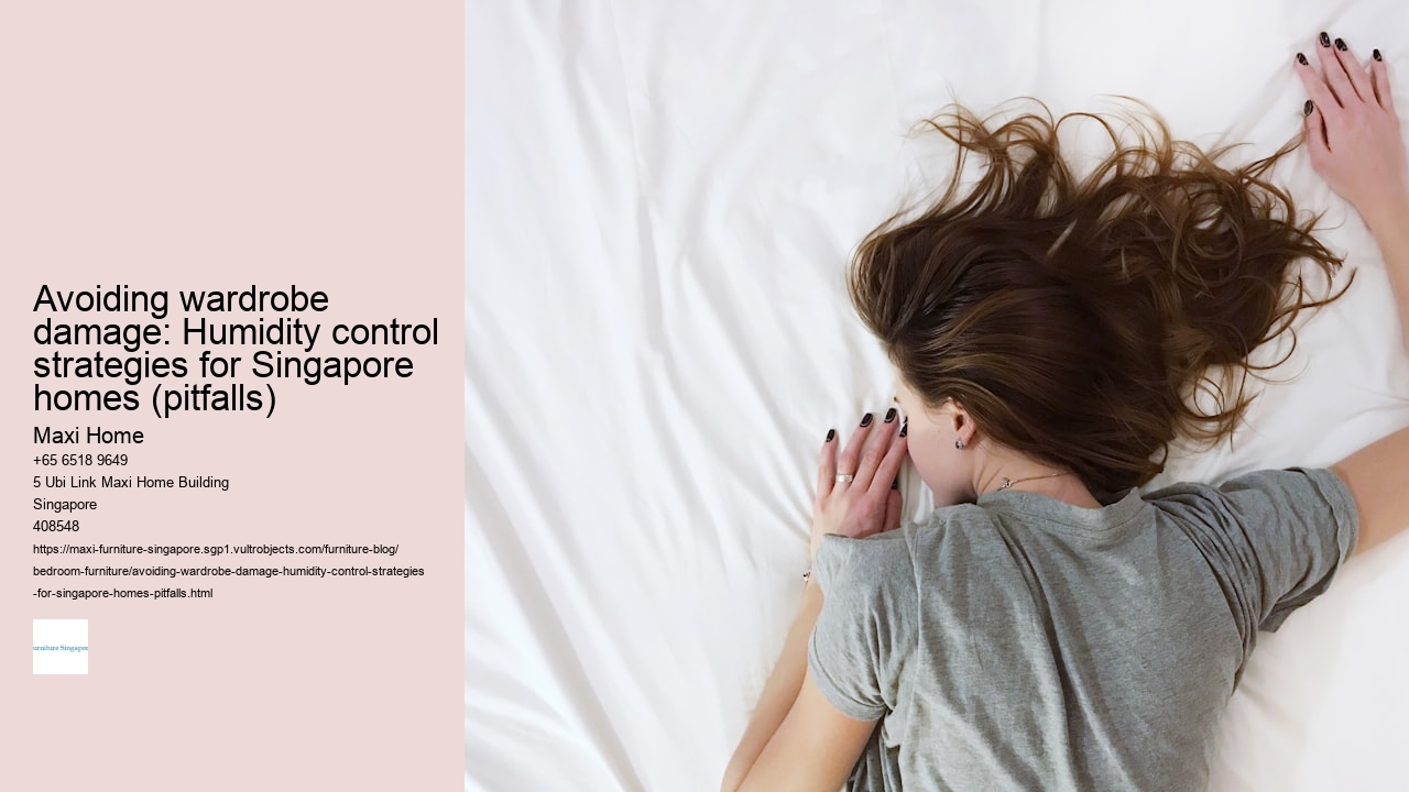 Avoiding wardrobe damage: Humidity control strategies for Singapore homes (pitfalls)