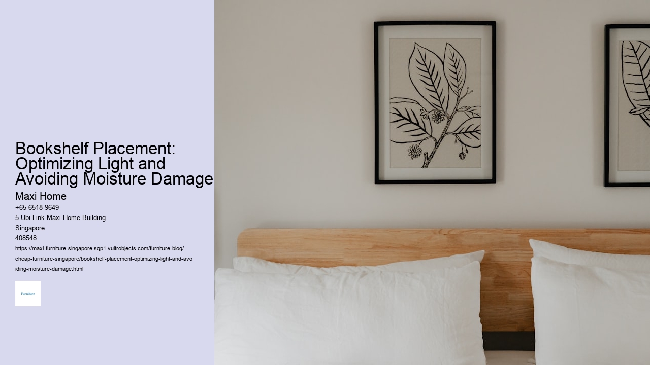 Bookshelf Placement: Optimizing Light and Avoiding Moisture Damage