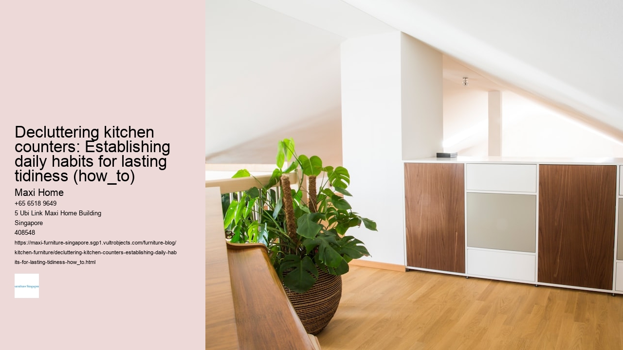 Decluttering kitchen counters: Establishing daily habits for lasting tidiness (how_to)