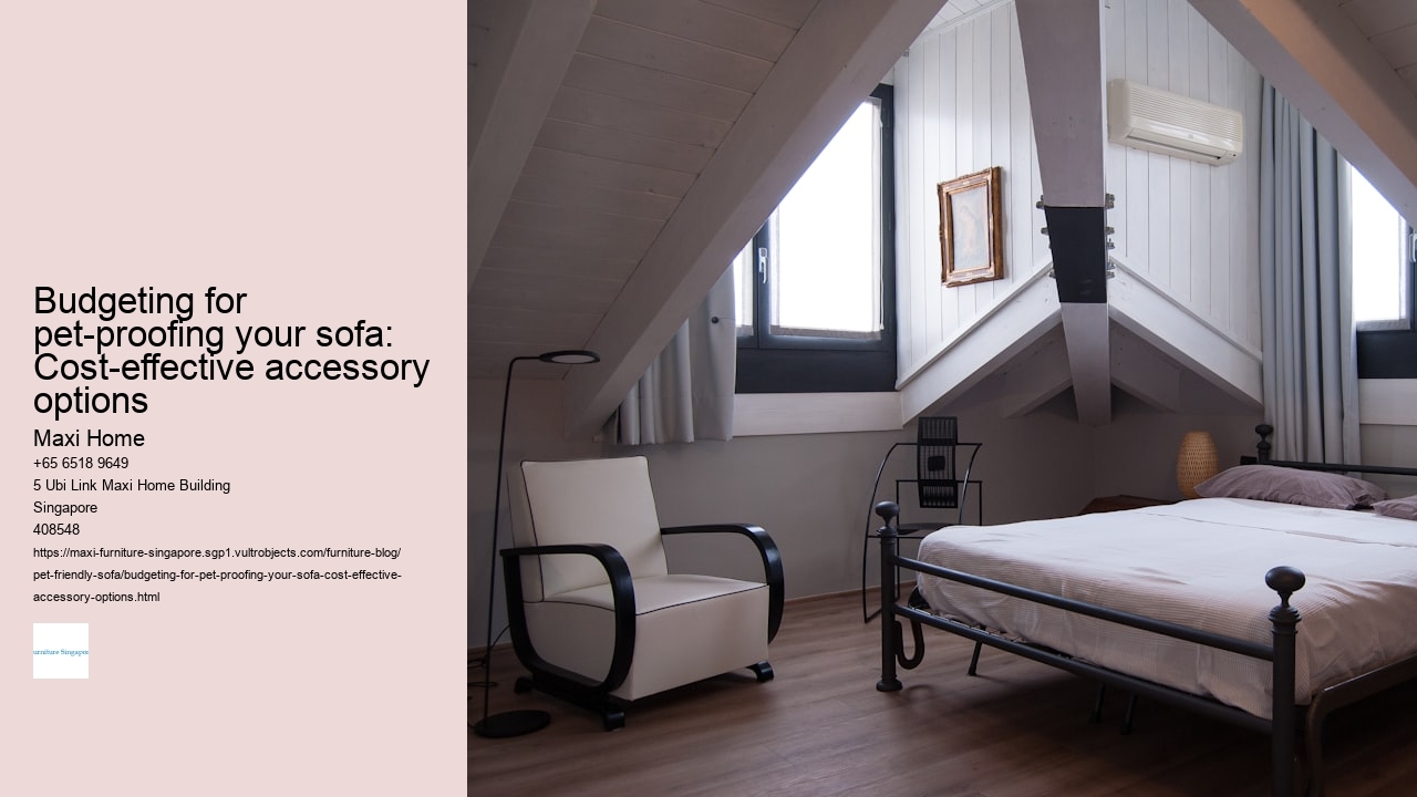 Budgeting for pet-proofing your sofa: Cost-effective accessory options