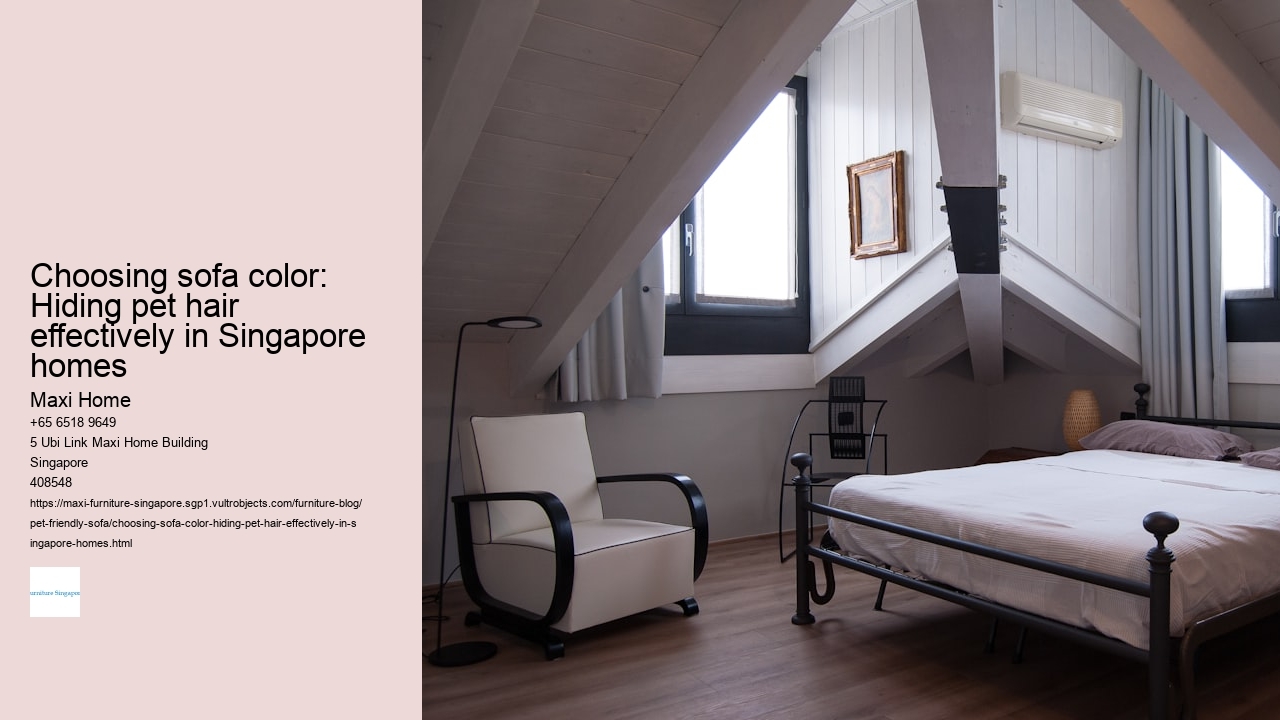 Choosing sofa color: Hiding pet hair effectively in Singapore homes