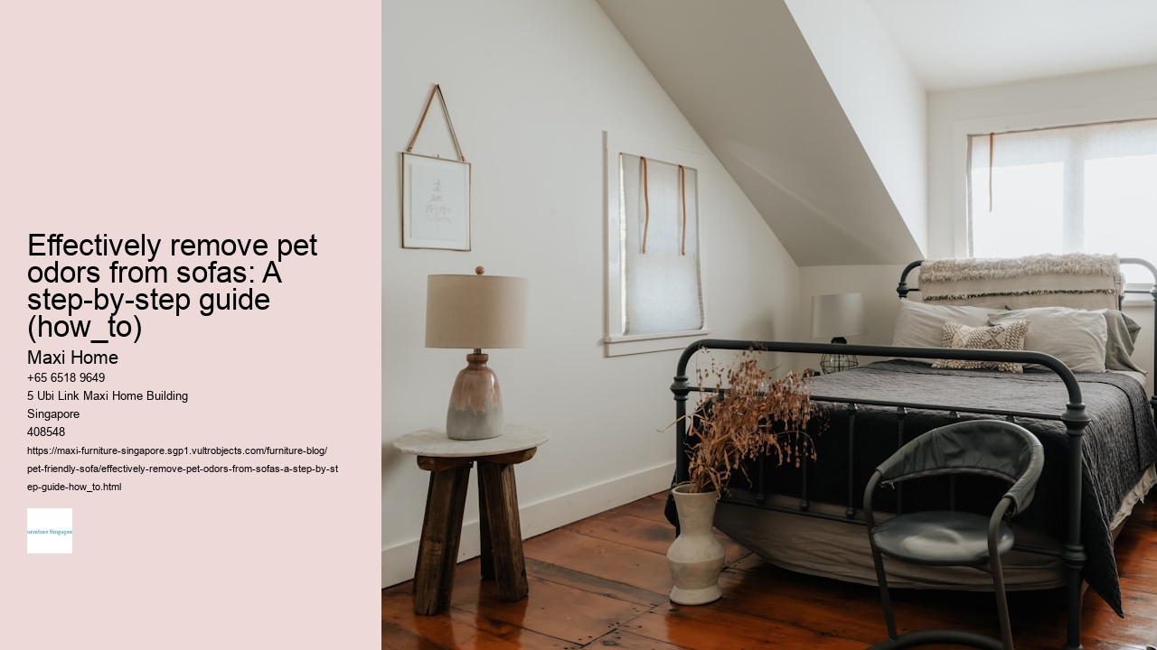 Effectively remove pet odors from sofas: A step-by-step guide (how_to)