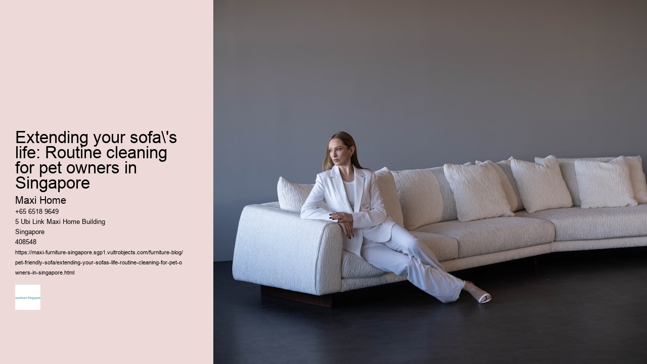 Extending your sofa's life: Routine cleaning for pet owners in Singapore