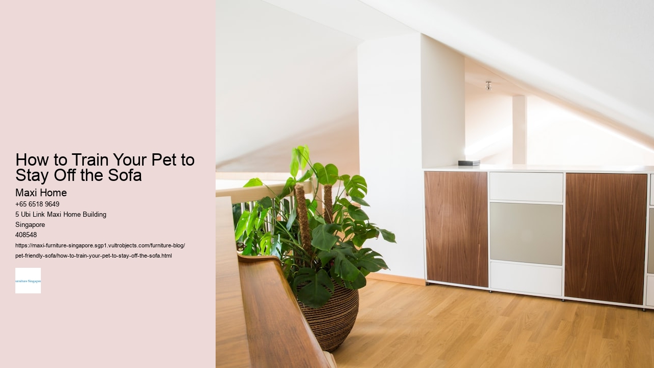 How to Train Your Pet to Stay Off the Sofa