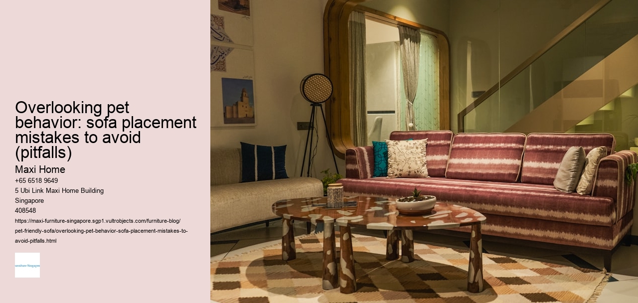 Overlooking pet behavior: sofa placement mistakes to avoid (pitfalls)