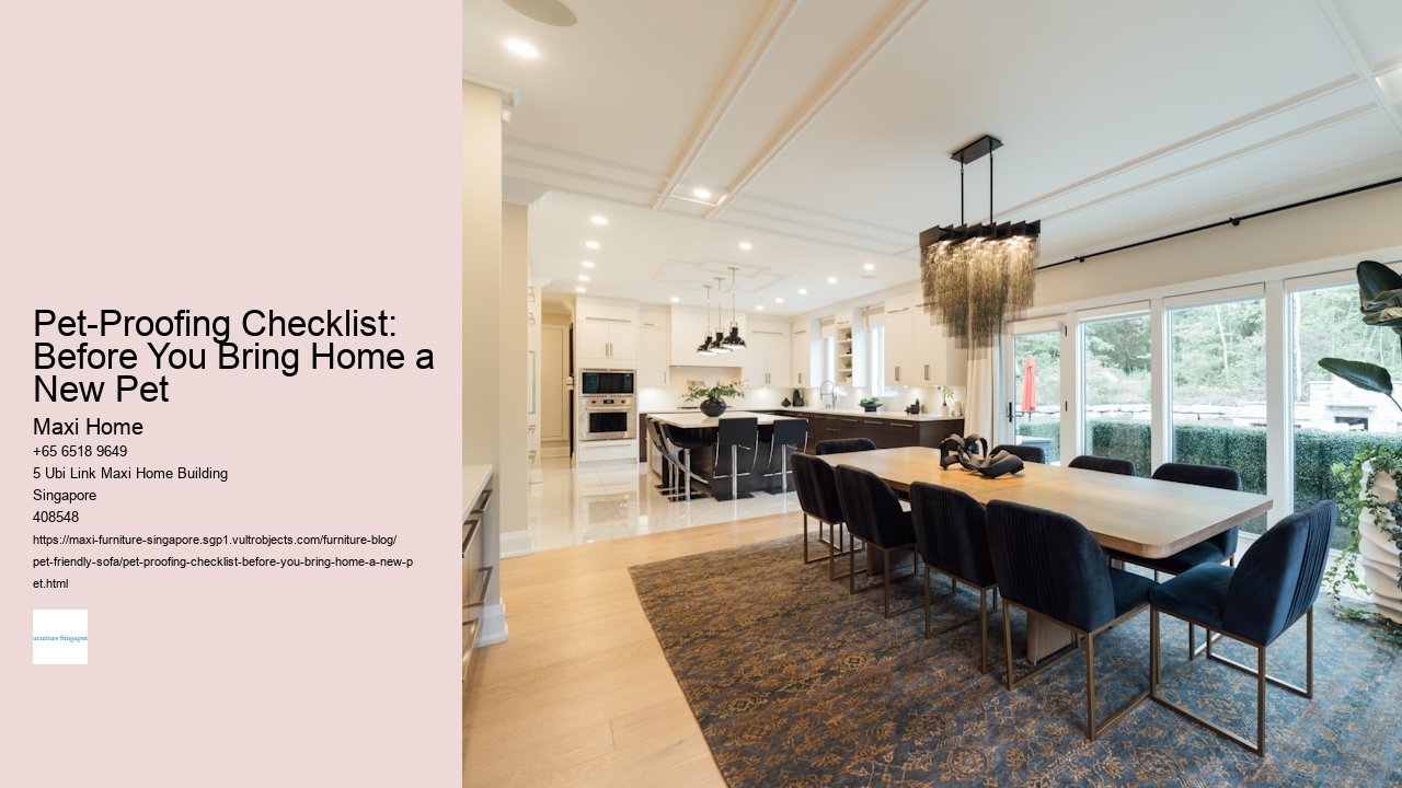 Pet-Proofing Checklist: Before You Bring Home a New Pet