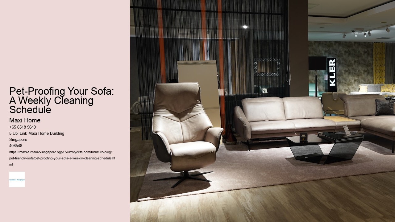 Pet-Proofing Your Sofa: A Weekly Cleaning Schedule