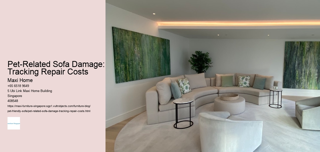 Pet-Related Sofa Damage: Tracking Repair Costs