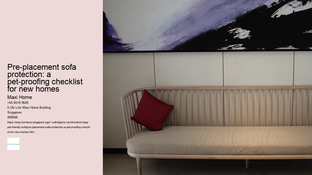 Pre-placement sofa protection: a pet-proofing checklist for new homes