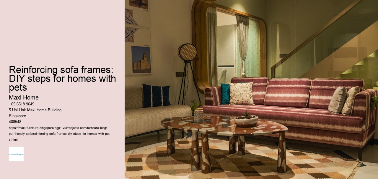 Reinforcing sofa frames: DIY steps for homes with pets