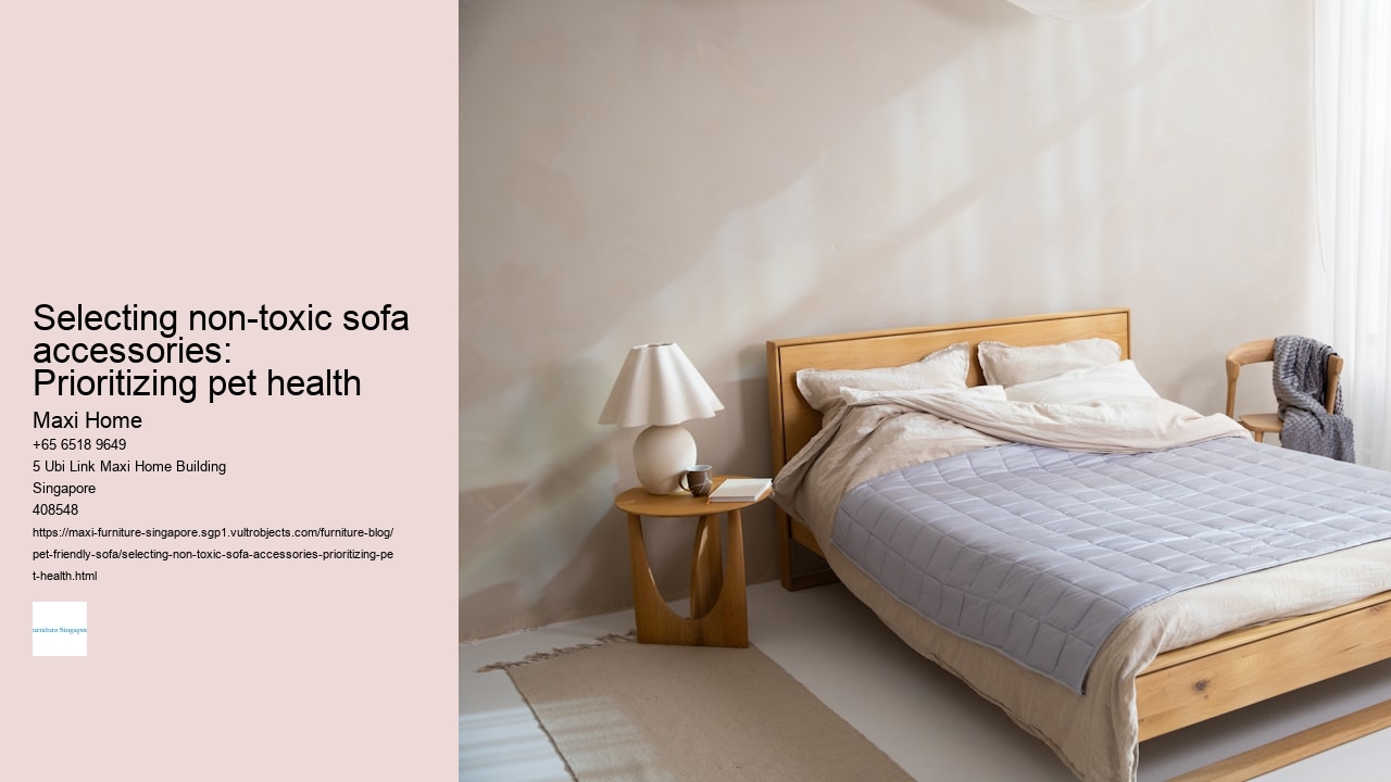 Selecting non-toxic sofa accessories: Prioritizing pet health