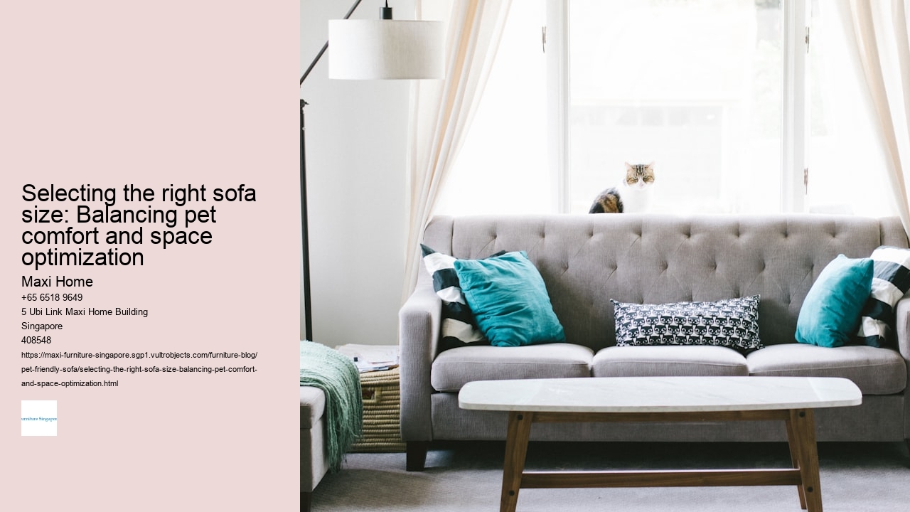 Selecting the right sofa size: Balancing pet comfort and space optimization