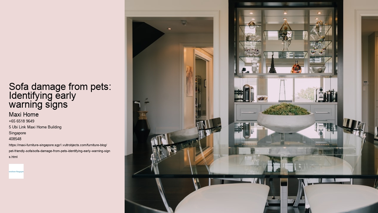 Sofa damage from pets: Identifying early warning signs