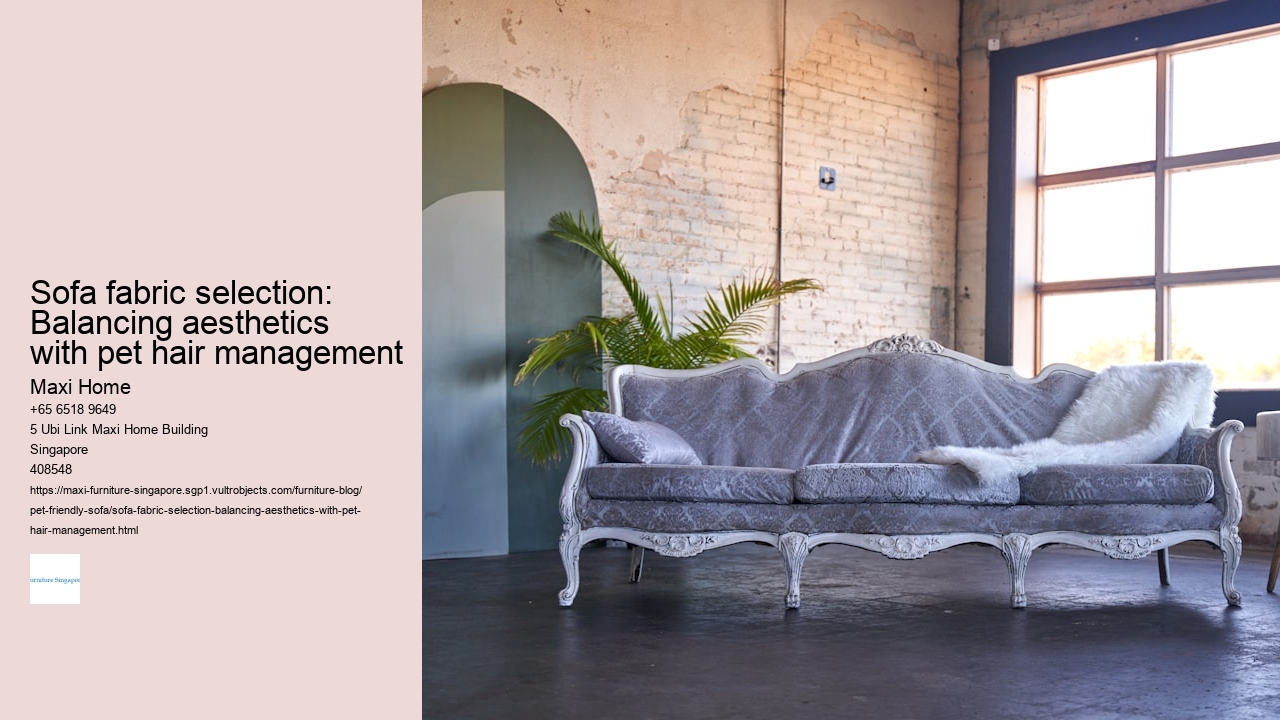 Sofa fabric selection: Balancing aesthetics with pet hair management