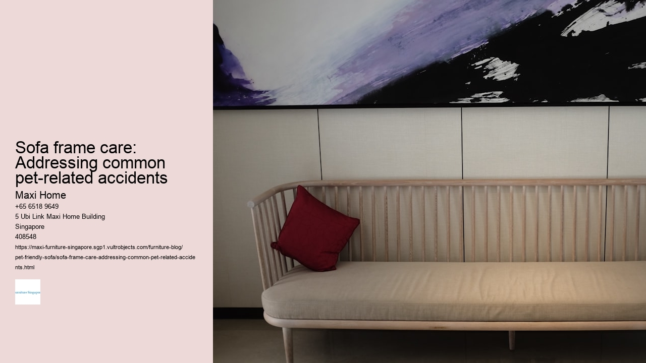 Sofa frame care: Addressing common pet-related accidents