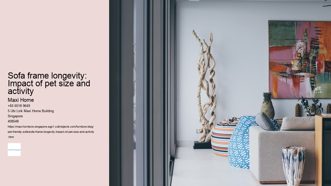 Sofa frame longevity: Impact of pet size and activity