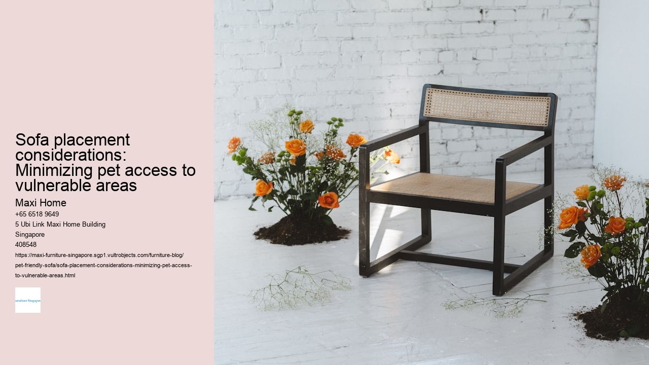 Sofa placement considerations: Minimizing pet access to vulnerable areas