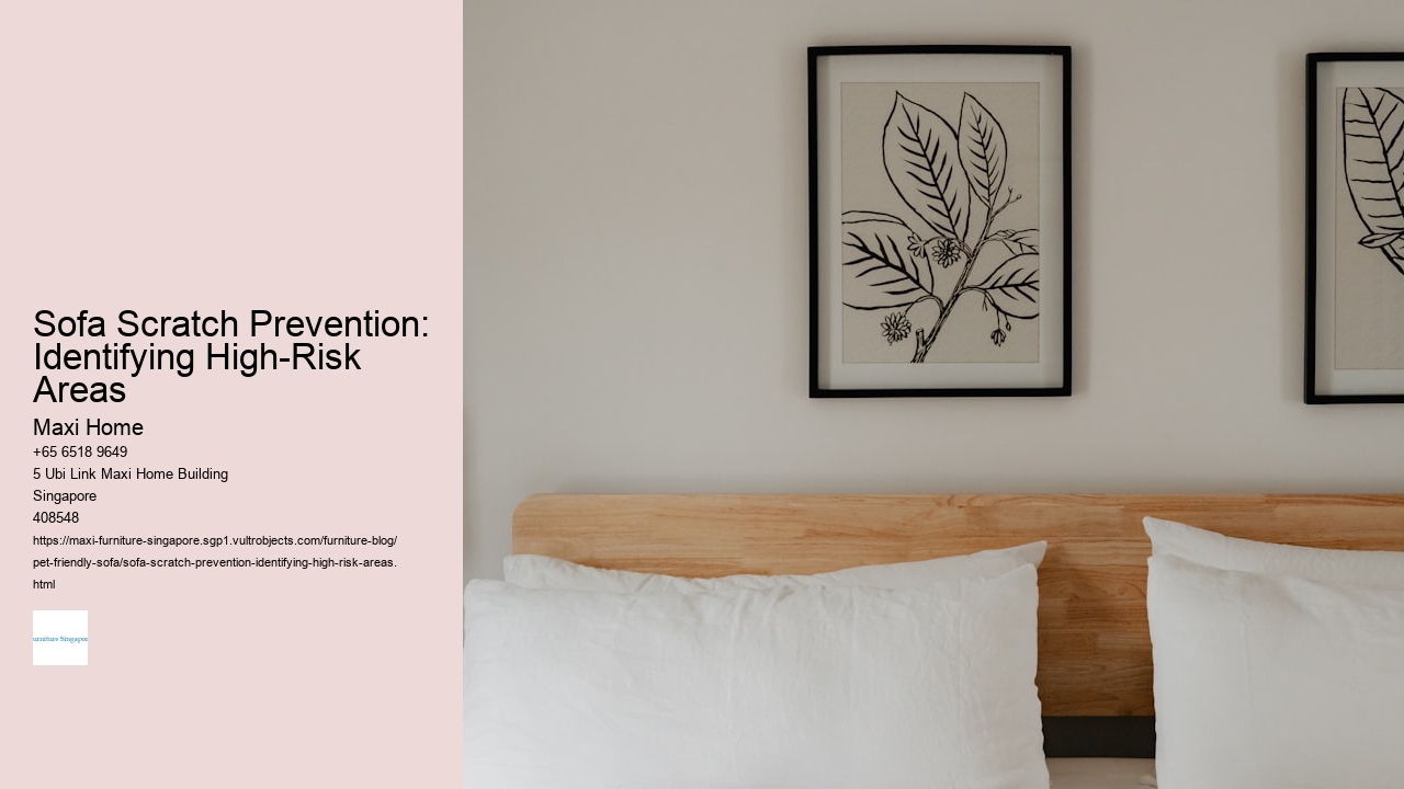 Sofa Scratch Prevention: Identifying High-Risk Areas