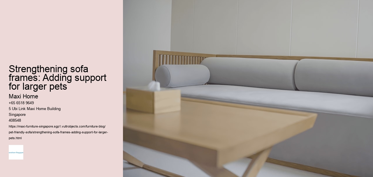 Strengthening sofa frames: Adding support for larger pets